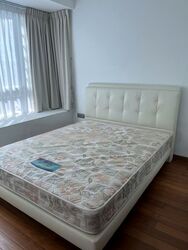 Suites At Orchard (D9), Apartment #452255011